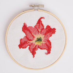 RHS Cross Stitch Kit Amarylis